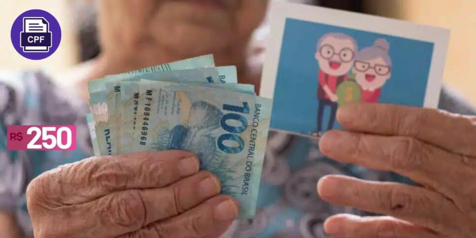 Benefício Auxílio BPC Cuida Mais Idosos ganham vale de R$ 250 (Foto: Reprodução / Pronatec)