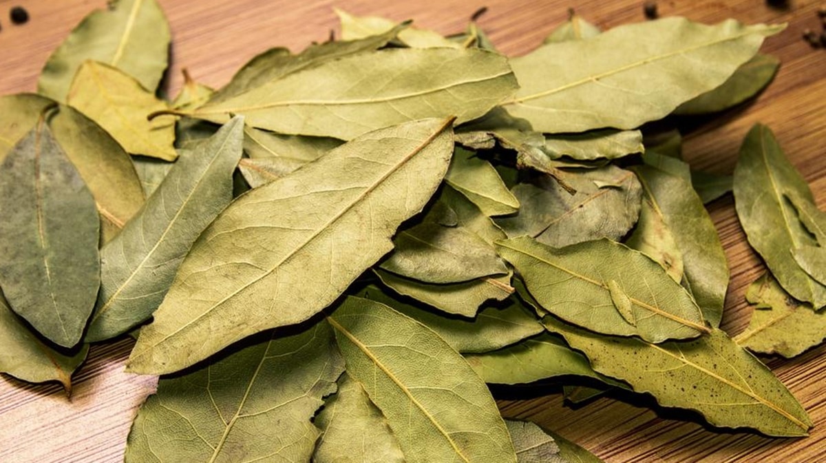 Folhas de louro podem ser combinadas com canela nessa superstição (Foto: Reprodução/ Internet)