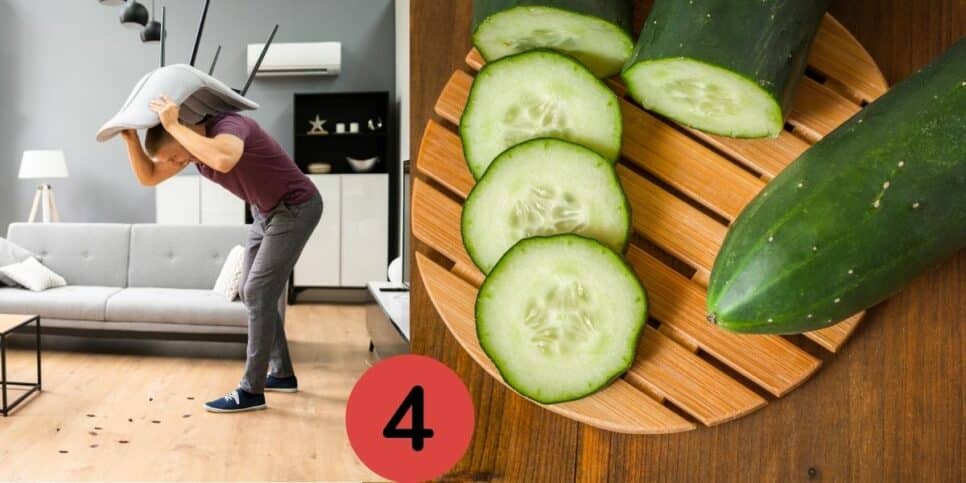 Homem matando baratas e pepino (Foto: Reprodução / Canva)