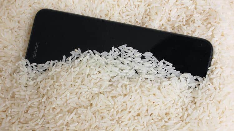 iPhone em vasilha com arroz (Imagem: Reprodução)