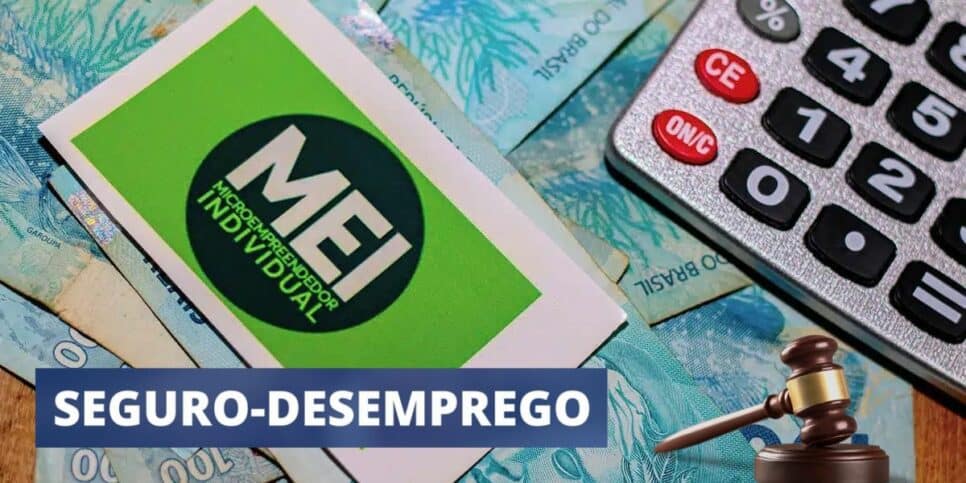 Nova lei garante seguro-desemprego para MEI (Foto: Reprodução / Pronatec)