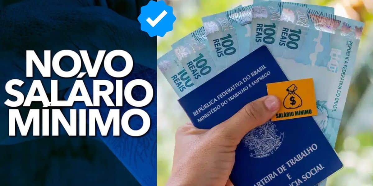 Novo salário mínimo (Foto: Reprodução / Pronatec)