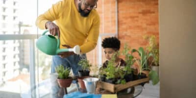 Imagem do post Conheça as plantas que atraem prosperidade para sua casa e veja o que manter longe do seu lar