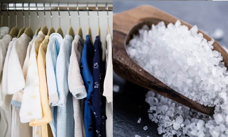 Guarda-Roupa Armário e Sal Grosso (Foto: Reprodução/ Montagem)