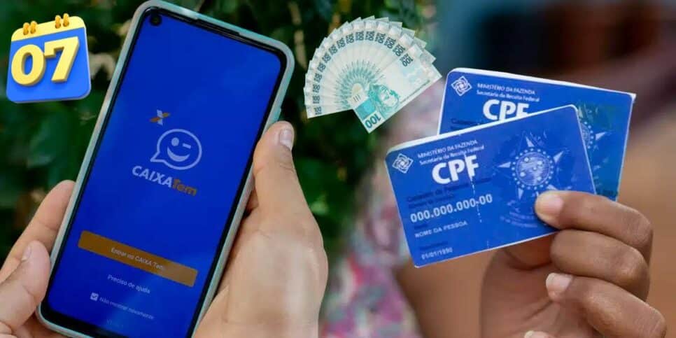 Caixa e CPF (Foto: Reprodução / Pronatec)