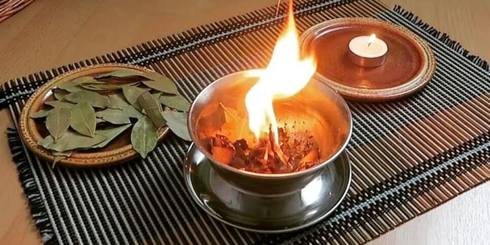 3 práticas para sorte, dinheiro e felicidade com a folha de louro (Foto: Divulgação)