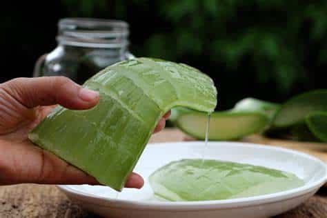 Saiba como usar aloe vera para eliminar as manchas do seu rosto