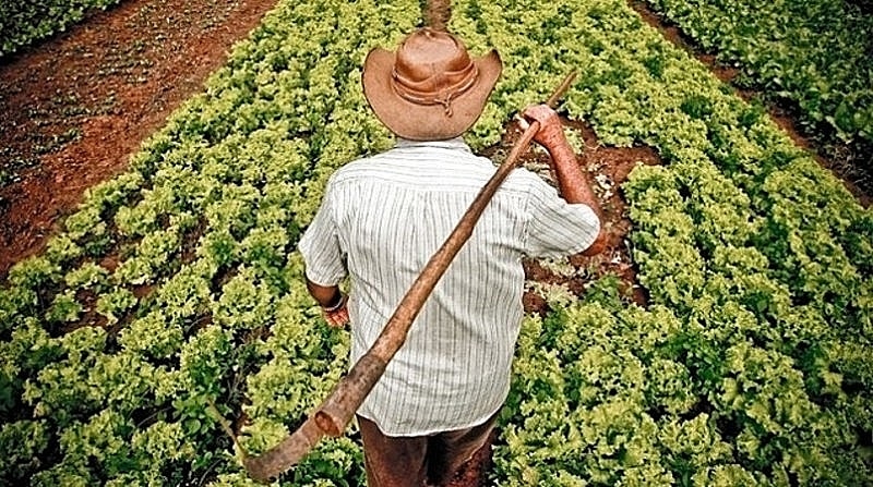 agricultores (Reprodução/Internet)