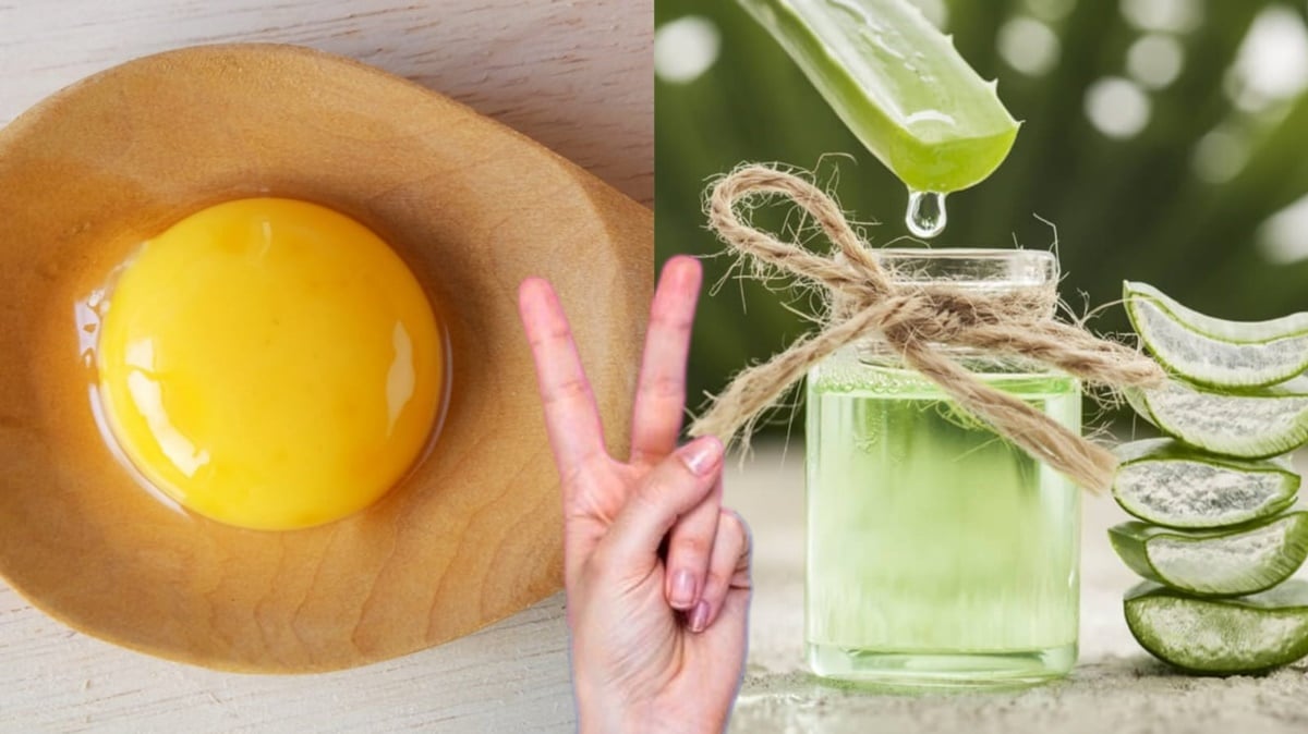 2 ingredientes para devolver vitalidade e hidratação às mãos: Gema de ovo e Gel de Aloe Vera (Babosa) - (Fotos: Reprodução/ FreePik/ Montagem)