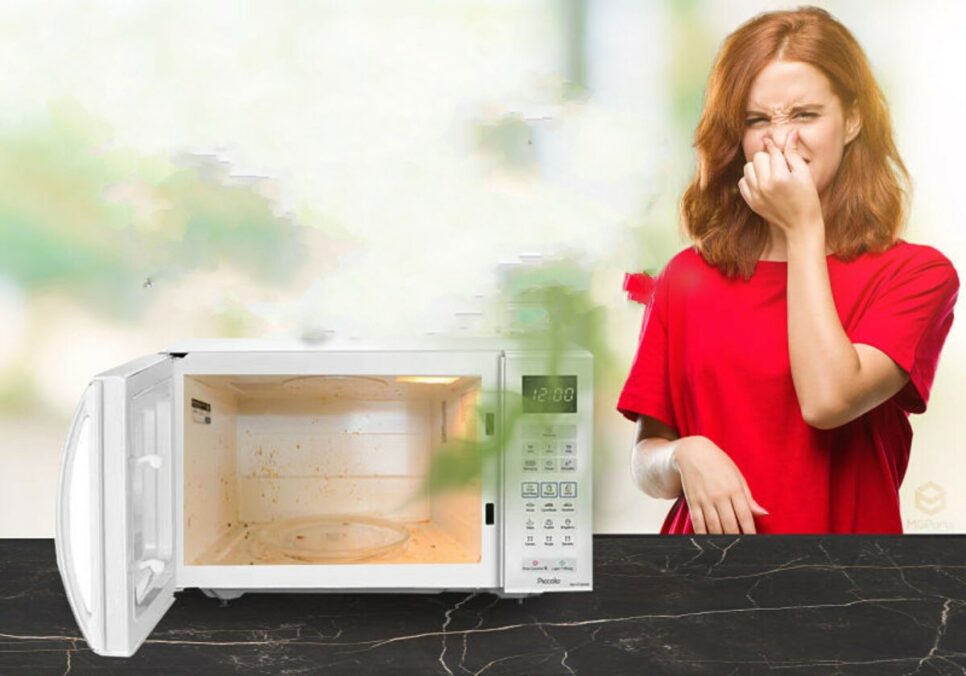 Odores congelador refrigerador Micro-Ondas com mau cheiro (Foto: Reprodução/ mgparts)