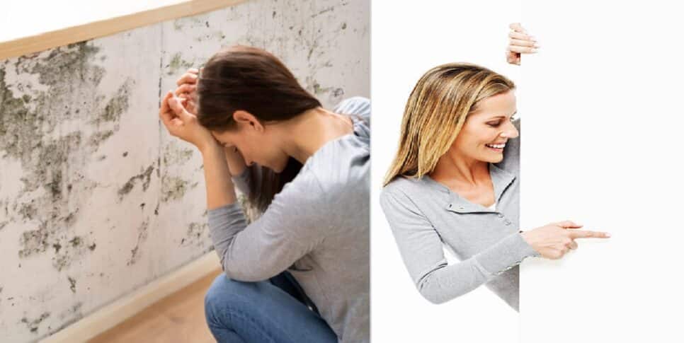 Teto Marcas de mofo e infiltrações nunca mais (Foto esquerda: Reprodução -Gazeta do Povo - Vivenso/ Direita: iStock)