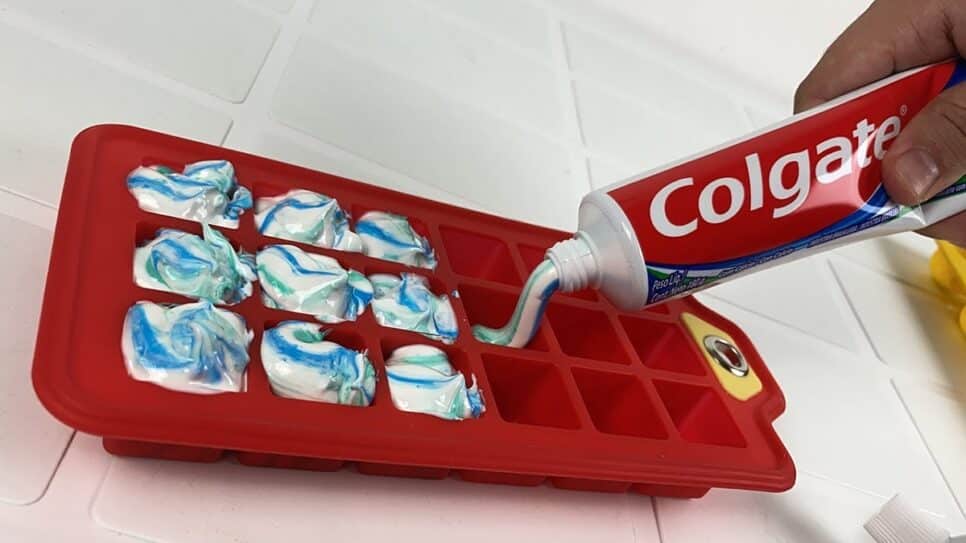 Higienização Pasta de dente congelada (Foto: Reprodução/ Youtube)
