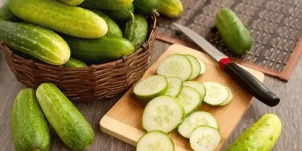 Benefícios para o pepino (Foto: Reprodução)