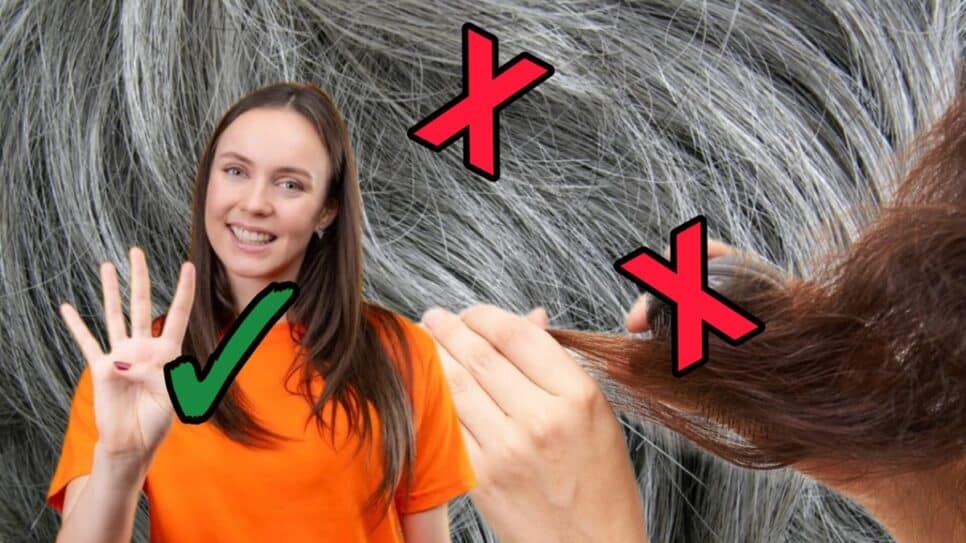 Sem grisalhos e longe do frizz: 4 ingredientes naturais para queratina caseira ideal (Fotos: Reprodução/ FreePik/ Montagem)