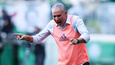 Imagem do post Palmeiras descobre palmeirense que agrediu Tite e implora perdão