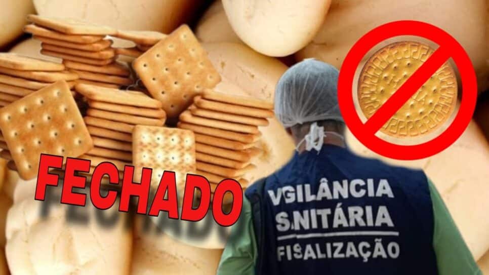 Biscoitos sem higiene: Anvisa atende denúncias e fecha fábrica (Fotos: Reprodução/ Internet/ Freepik/ Montagem Gustavo)