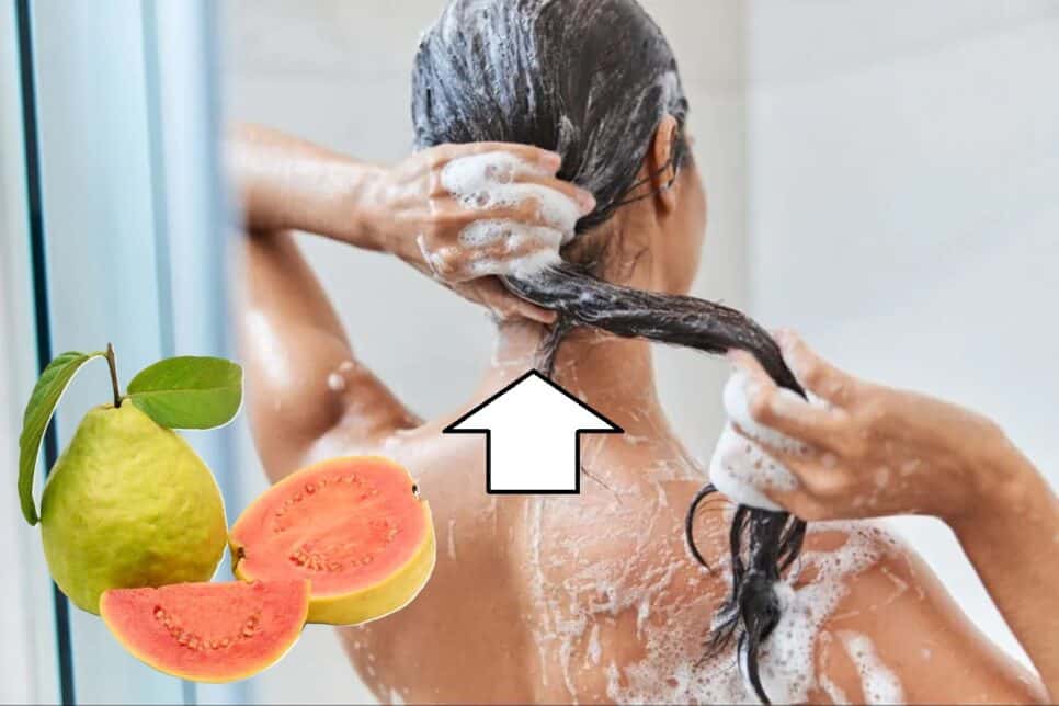 Crescimento capilar Goiaba para o cabelo crescer (Foto: Reprodução/ Colagem)
