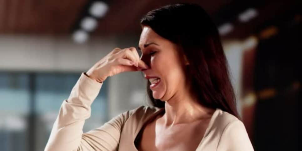 Odores ruins? 2 aromas naturais que podem melhorar a sua casa (Foto: iStock)
