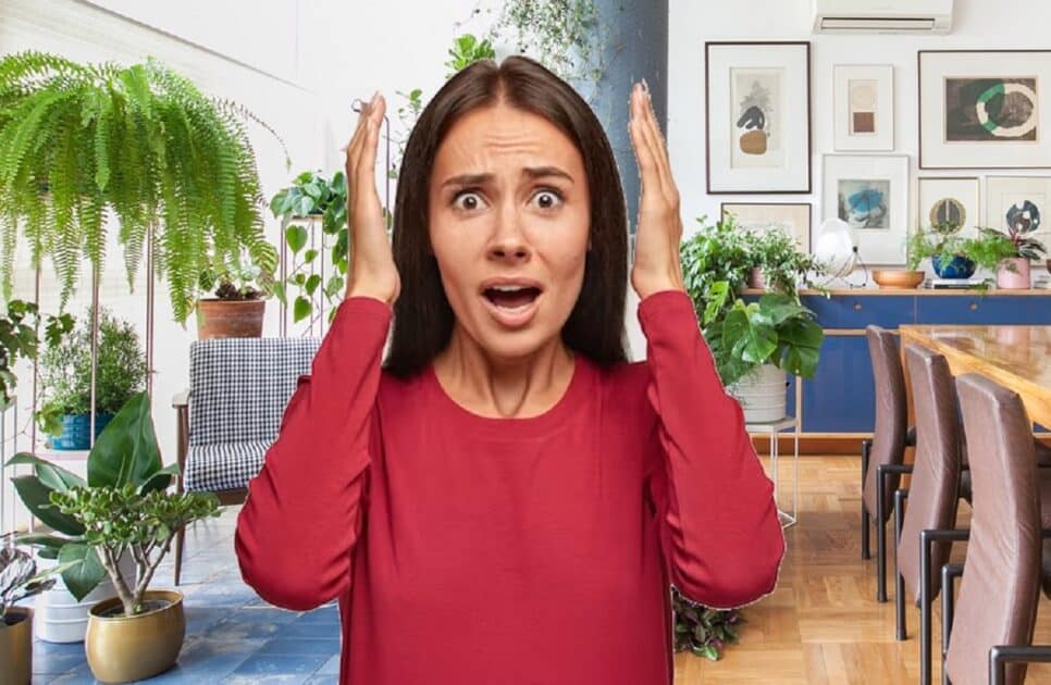 Casa Feng Shui Plantas que podem atrair vibrações ruins (Foto: Colagem/ Freepik)