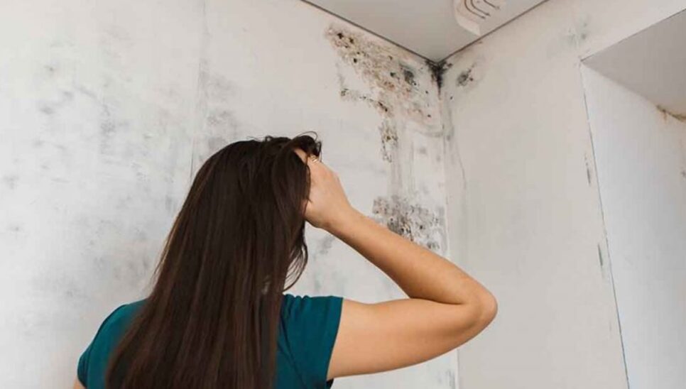 Segredo pra remover mancha de mofo da parede (Foto: Reprodução/ Internet)