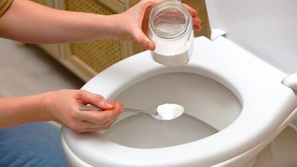 Higienização limpeza Sal no banheiro (Foto: Reprodução/ Home IT)