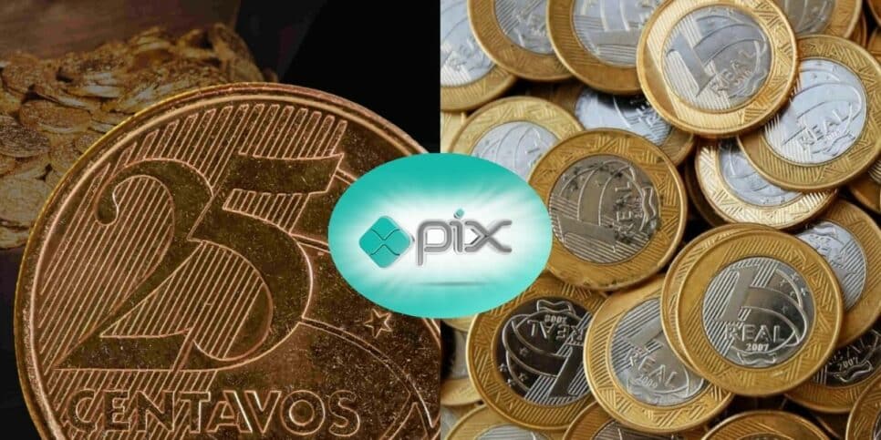 Flor de Cunho 25 centavos e 1 real: Moedas podem valer uma grana (Foto: Reprodução / Canva)