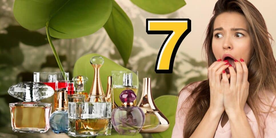 7 perfumes de pobre (Foto: Reprodução / Canva / Montagem HoraDoBenefício)