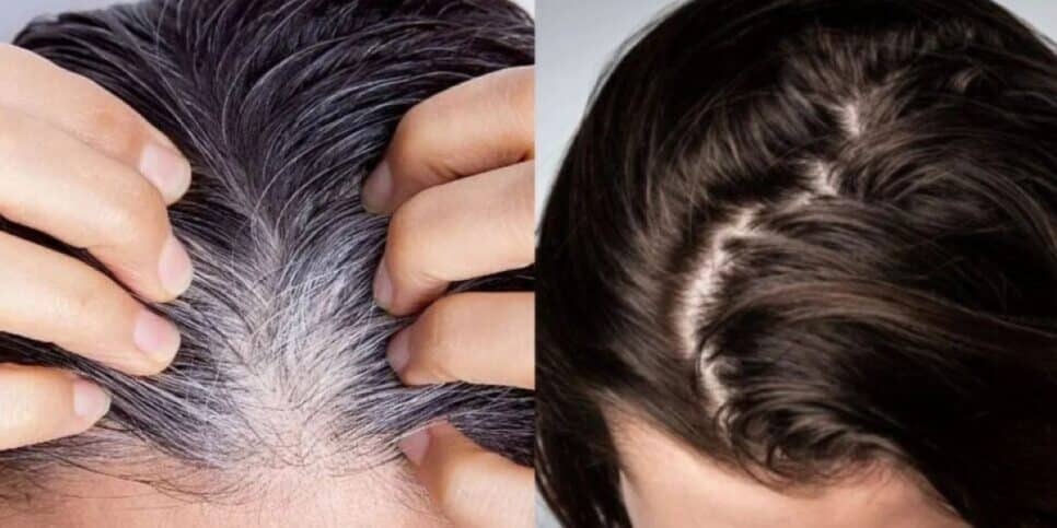Henna para cabelos: o que é fato e o que é ficção? Descubra antes de usar