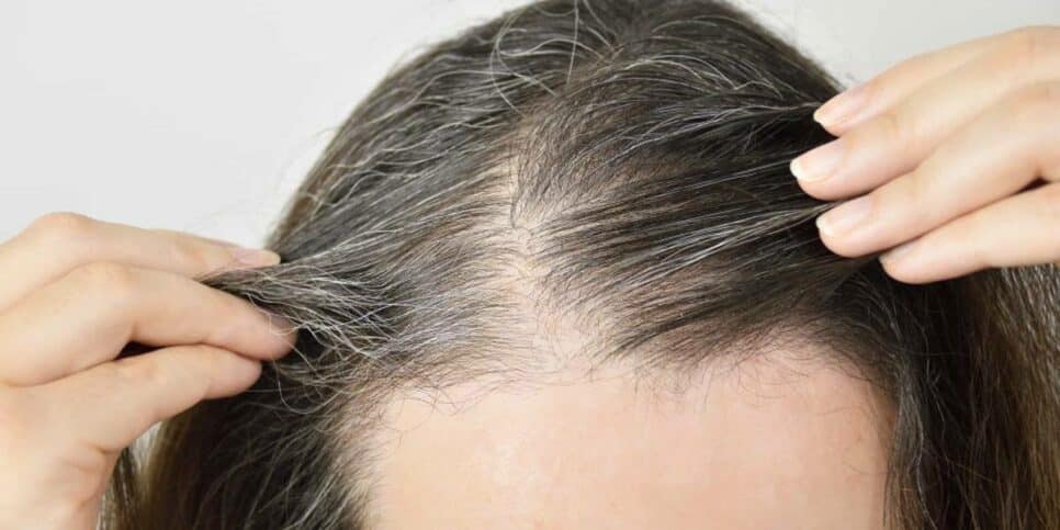 Transforme seu cabelo em 30 minutos: Mistura de camomila e outro ingrediente traz de volta a cor natural