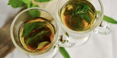 Emagreça naturalmente: conheça os 5 chás que são aliados poderosos na perda de peso (Foto: Reprodução/Internet)