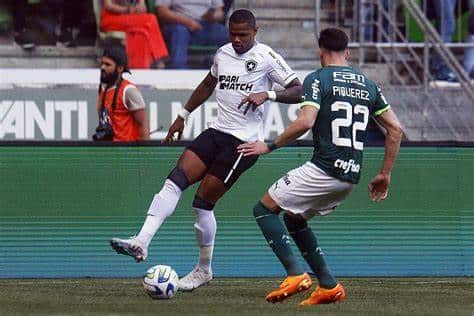 Palmeiras já foi eliminado pelo Botafogo durante Libertadores?