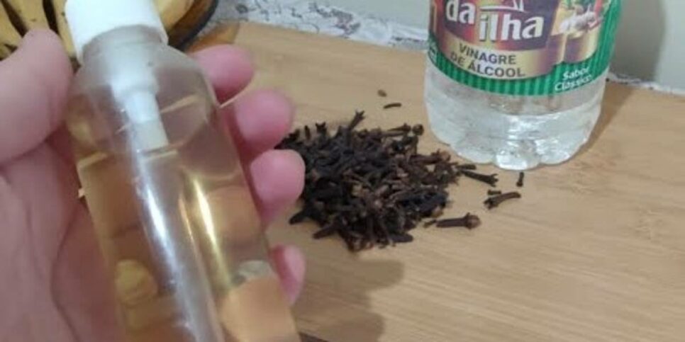 Inseticida caseiro que espanta moscas e protege seu lar de insetos (Foto: Reprodução/YouTube)