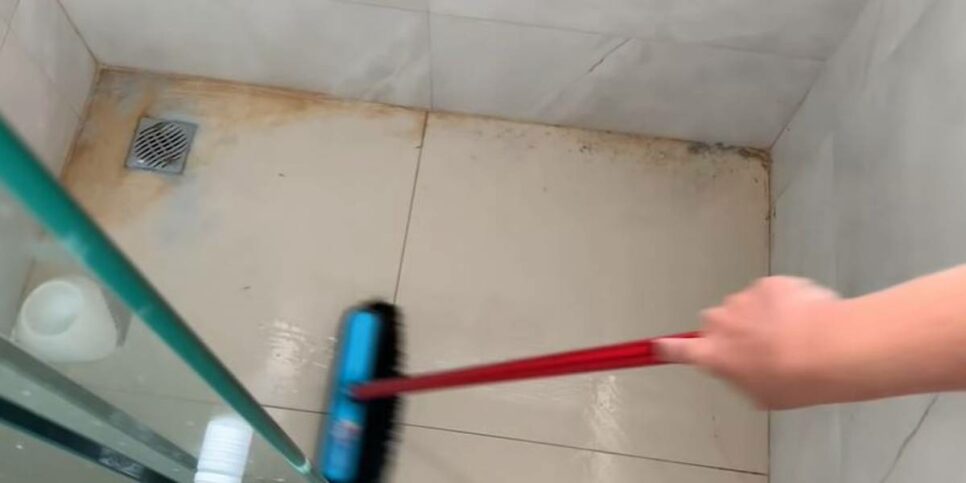 Surpreendente! Veja como 3 temperos de sua cozinha podem manter insetos afastados