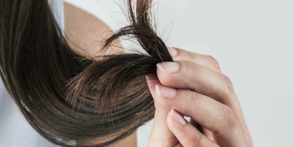 Descubra como 2 ingredientes simples podem curar pontas