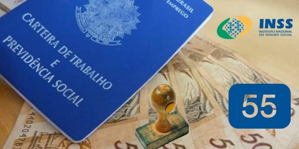 Carteira de trabalho e INSS (Foto: Reprodução / Canva / Montagem HoraDoBenefício)