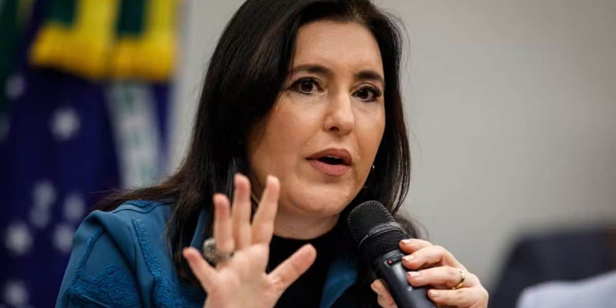 R$ Salário Mínimo Simone Tebet cuidará disso no Bolsa Família (Foto: Brenno Carvalho/ O Globo)