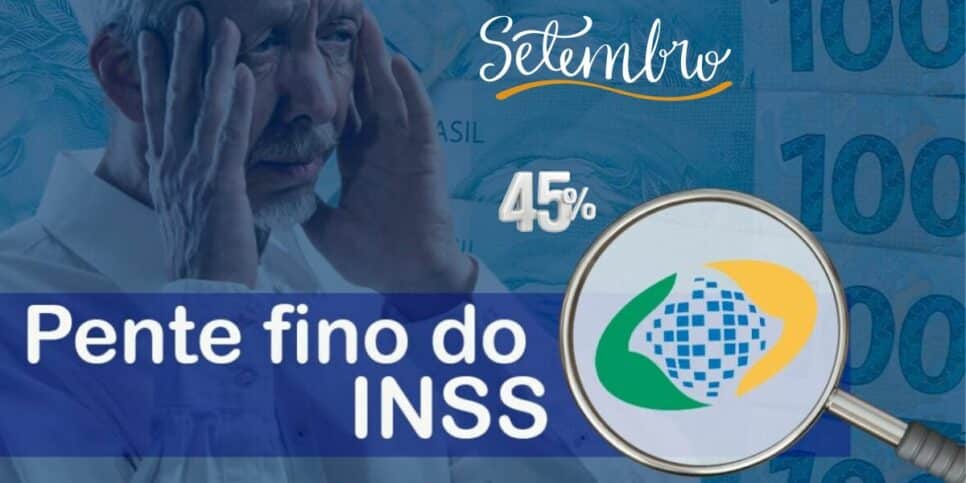 Pente-fino INSS (Foto: Reprodução / FDR)