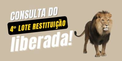 Imagem do post Consulta do 4º LOTE da restituição LIBERADA! Saiba como consultar