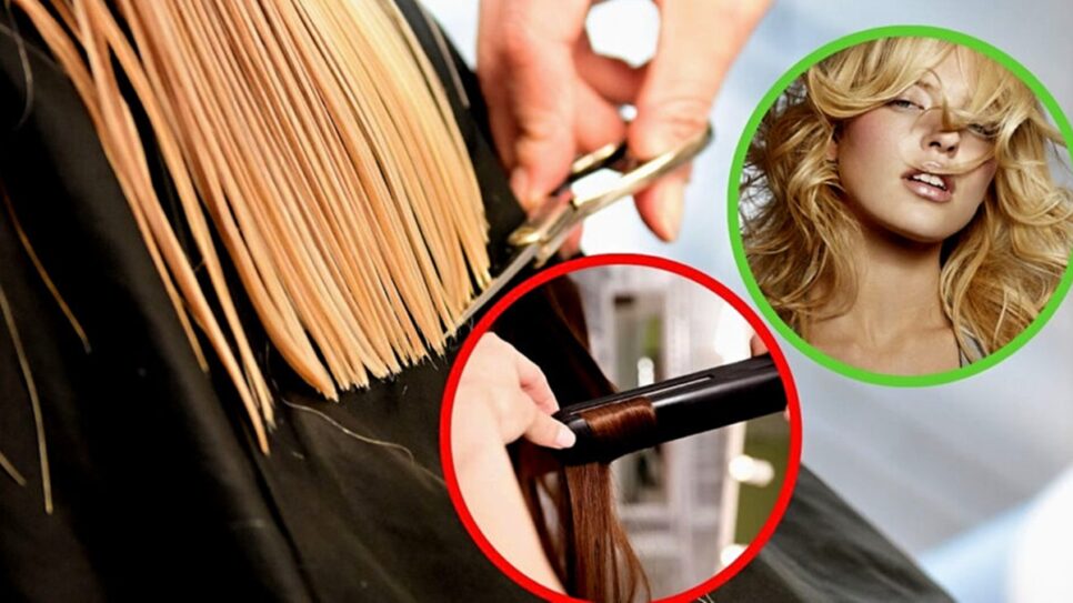 5 cortes de cabelo dispensam uso do calor da chapinha e rejuvenescem (Foto Reprodução/Montagem/Tv Foco/Canva/Lennita)