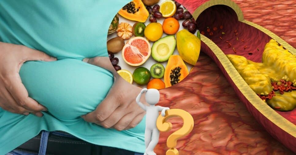 Gordura no corpo, colesterol e frutas (Foto: Reprodução / Canva / Montagem Hora do Benefício)